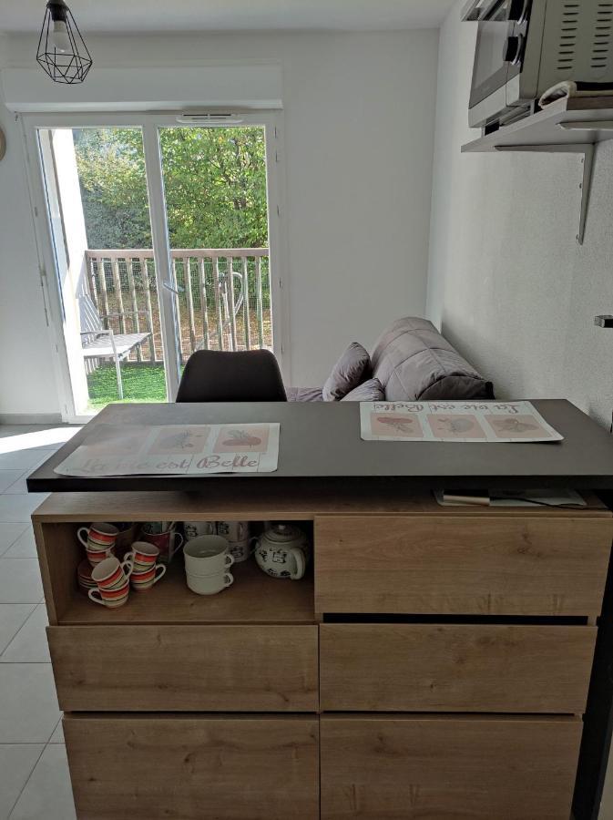 Superbe Appartement En Rez-De-Jardin A Lanton Εξωτερικό φωτογραφία